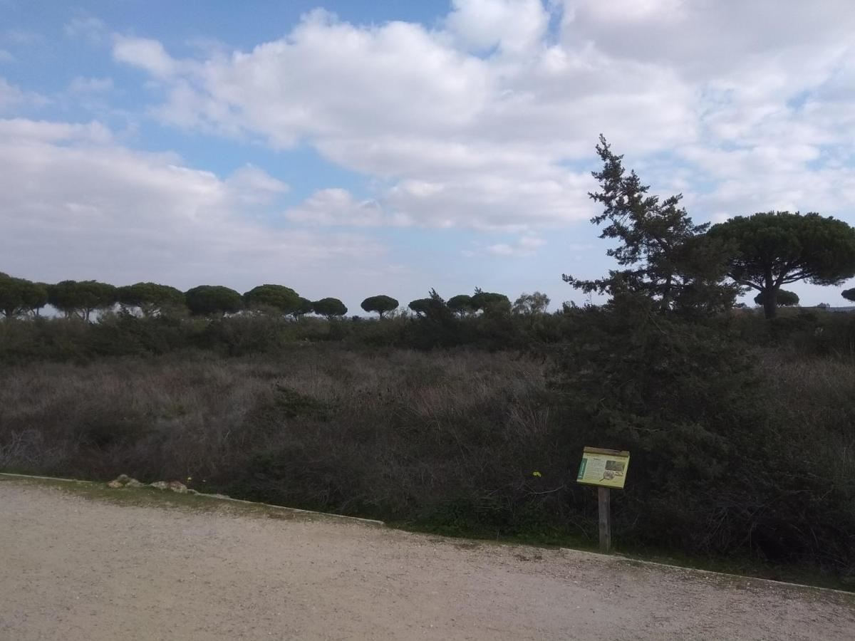 Tu Denscanso En Valdelagrana Frente Al Mar Lejlighed El Puerto de Santa María Eksteriør billede