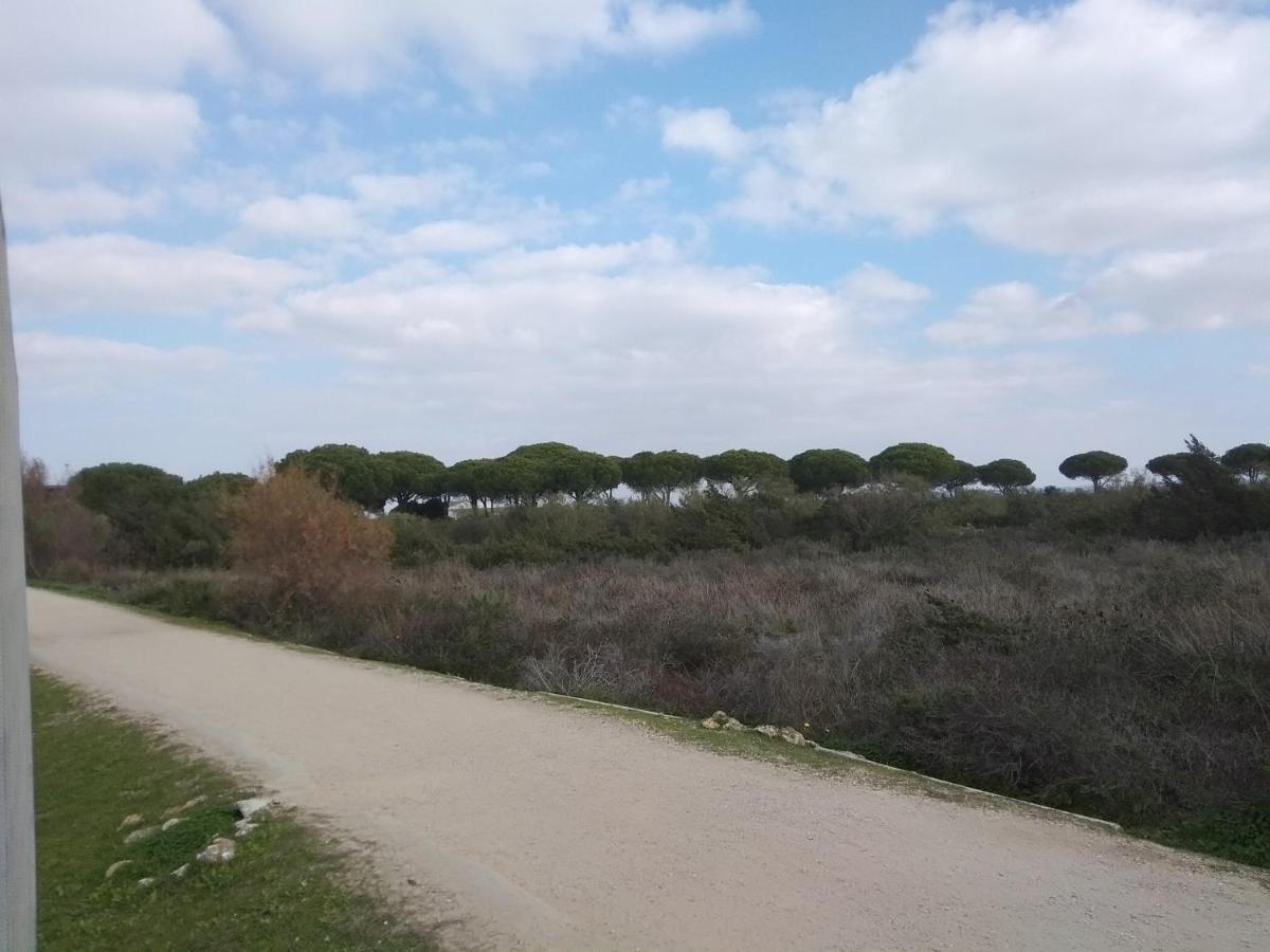 Tu Denscanso En Valdelagrana Frente Al Mar Lejlighed El Puerto de Santa María Eksteriør billede